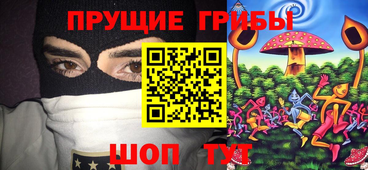 Галлюциногенные грибы Cubensis  Вход с VPN  Касимов 